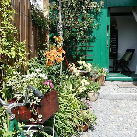 Apartman Horsovsky Tyn ภายนอก รูปภาพ